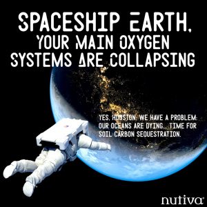 Oxygen System Collapse